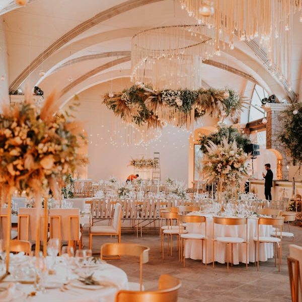 pexels-photo-14716282